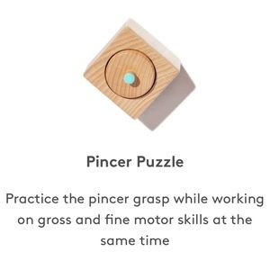 Lovevery Pincer Puzzle